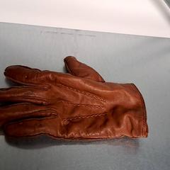 Hanske, som rapportert av Keolis Lund ved bruk av iLost