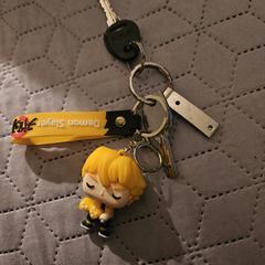 Sleutelbos, gerapporteerd met iLost