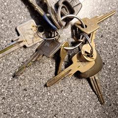 Sleutelbos, segundo informou a iLost