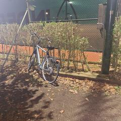 Elektrische fiets sparta, as reported to iLost