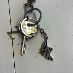 鍵 がiLostで BURST によって報告されました