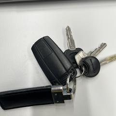 Sleutelbos (autosleutel en overige sleutels), segundo informou a iLost