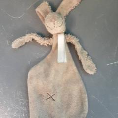 Knuffel, as reported by Diergaarde Blijdorp using iLost