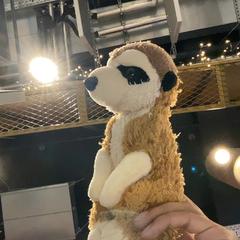 곰돌이 인형 Brown - Wild republic, iLost를 사용하여 MEININGER Hotel Paris Porte de Vincennes에 보고됨