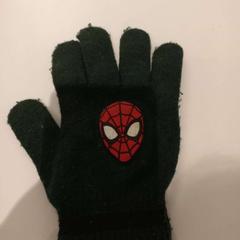 Glove, as reported by Arriva Limburg Zuid using iLost