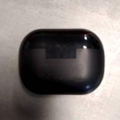 Oortjes Zwart, zoals gemeld door Arriva Friesland / Groningen met iLost