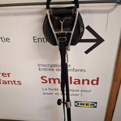 Trzcina prowadząca, zgłoszono przez IKEA Villiers-sur-Marne przy użyciu iLost