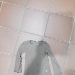 Camicia shirt, come riportato da Apenheul utilizzando iLost