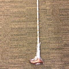 Chodiaca palička Gemêleerd, ako bolo nahlásené Canisius-Wilhelmina Ziekenhuis pomocou iLost