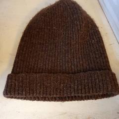 Beanie Bruin, gemeldet von DierenPark Amersfoort über iLost