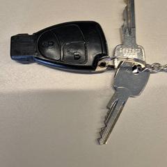 Chiavi Autosleutels met hanger, come riportato da Gemeente Wijk bij Duurstede utilizzando iLost