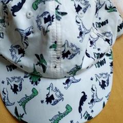 Kleding - pet, ha sido reportado por Centraal magazijn con iLost