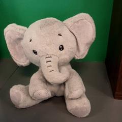 Peluche, ha sido reportado por Diergaarde Blijdorp con iLost