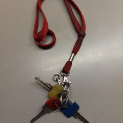 Sleutels, som rapportert til iLost