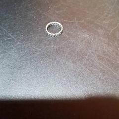Ring, as reported by Apenheul using iLost