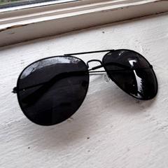 Des lunettes de soleil Zwart montuur zwarte glazen, a été signalé par DierenPark Amersfoort utilisant iLost