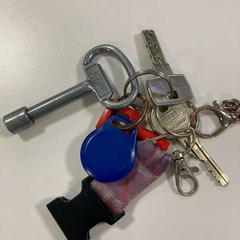 Sleutelbos, zoals gemeld door Gemeente Ede met iLost