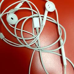 이어폰, iLost를 사용하여 UvA REC에 보고됨