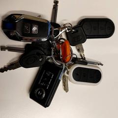 Sleutelbos, como reportado por Gemeente Hilversum utilizando o iLost