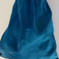 체조 가방, iLost를 사용하여 Regio Antwerpen - Brussel에 보고됨