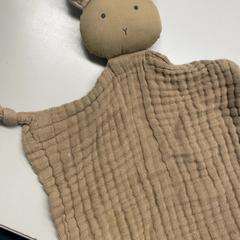 Bofetada de felpa Bruin, segundo informou Burgers' Zoo usando iLost