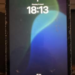 iPad, som rapporterats till iLost