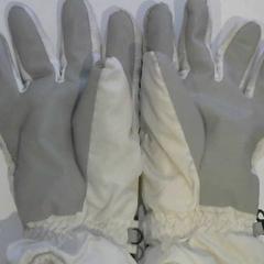 장갑, iLost를 사용하여 Relais Azalys에 보고됨