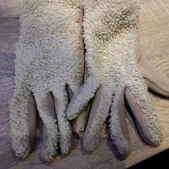 Rukavice, ako bolo nahlásené EBS Tramplein pomocou iLost