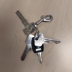 Sleutelbos, som rapportert til iLost