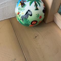ボール がiLostで Familie Resort Molenwaard によって報告されました