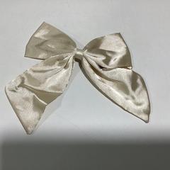 Luk - 051225 KENS3, jak nahlášeno Ziggo Dome pomocí iLost