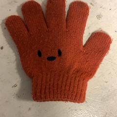 Handschoenen, zoals gemeld door Artis met iLost