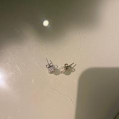 Ørering, som rapportert av Room Mate Bruno ved bruk av iLost