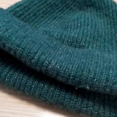 Beanie Groen, amint azt Qbuzz Fryslân az iLost segítségével jelentette.