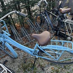 Blauwe fiets, jak bylo nahlášeno na iLost