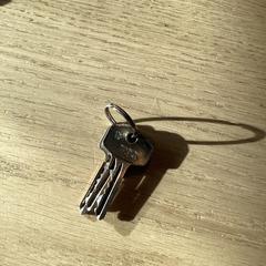 Key, as reported by Poppodium 013 using iLost