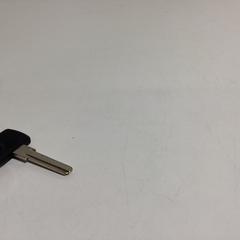 Fahrradschlüssel, gemeldet von Ziggo Dome über iLost