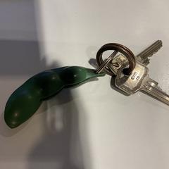 Nycklar, rapporterat av Gemeente Amsterdam med iLost