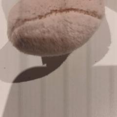 Peluche, como reportado por De Efteling utilizando o iLost