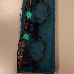 Brilleetui med briller Groen en panter bruin, som rapportert av Vrije Universiteit Amsterdam ved bruk av iLost