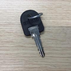 Klucz, zgłoszono przez Gemeente Arnhem przy użyciu iLost