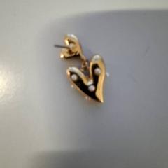 Tenda, segundo informou St. Antonius Ziekenhuis Utrecht usando iLost