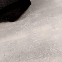 Beanie & Baskenmütze Zwart, gemeldet von Arriva Friesland / Groningen über iLost