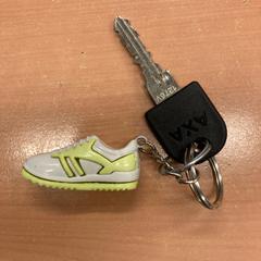 Sleutel, som rapportert av Pathé Eindhoven ved bruk av iLost