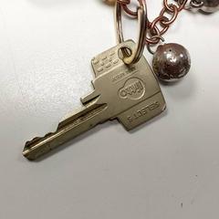 鍵 がiLostで Centraal magazijn によって報告されました