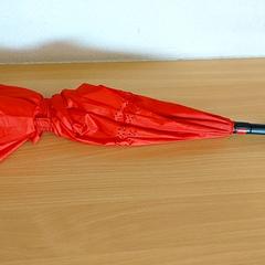 Paraguas, ha sido reportado por Centraal magazijn con iLost