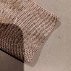 Dzseki, amint azt De Efteling az iLost segítségével jelentette.