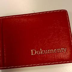 Pasjeshouder, as reported by Syntus Provincie Utrecht using iLost