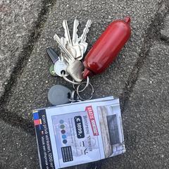 Bos sleutels, segons s'ha informat a iLost