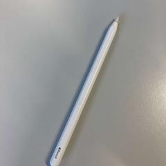 Matita elettronica Apple, come riportato da NHL Stenden Meppel OR ITEPS utilizzando iLost